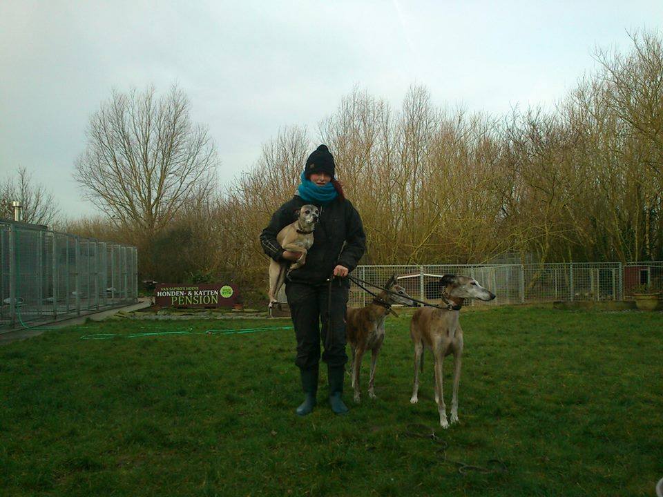 dierenhotels Lichtervelde Honden-en kattenpension Van Sapho's Hoeve